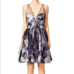 Parker sweetheart tulle dress